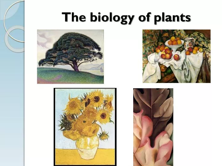 the biology of plants