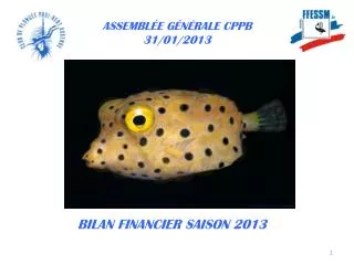 assembl e g n rale cppb 31 01 2013