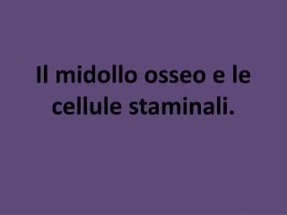 il midollo osseo e le cellule staminali