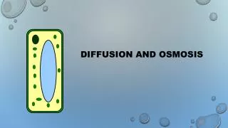 Diffusion and Osmosis