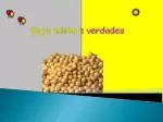 Conceito de SOJA - slide 1