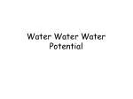 Water Water Water Potential