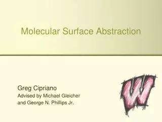 Molecular Surface Abstraction