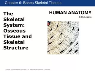 The Skeletal System: Osseous Tissue and Skeletal Structure