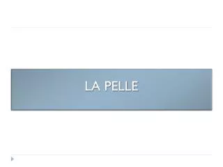 la pelle