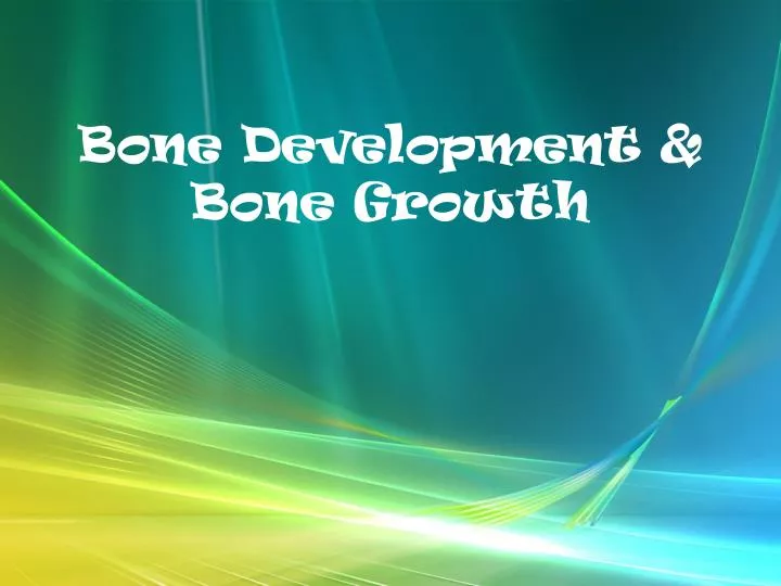 bone development bone growth