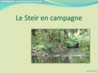 le steir en campagne