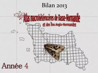 bilan 2013