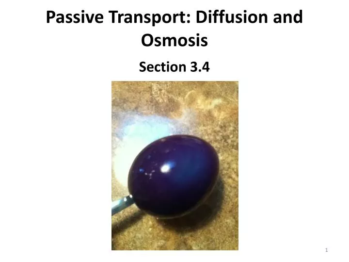 passive transport diffusion and osmosis