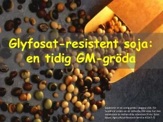 glyfosat resistent soja en tidig gm gr da