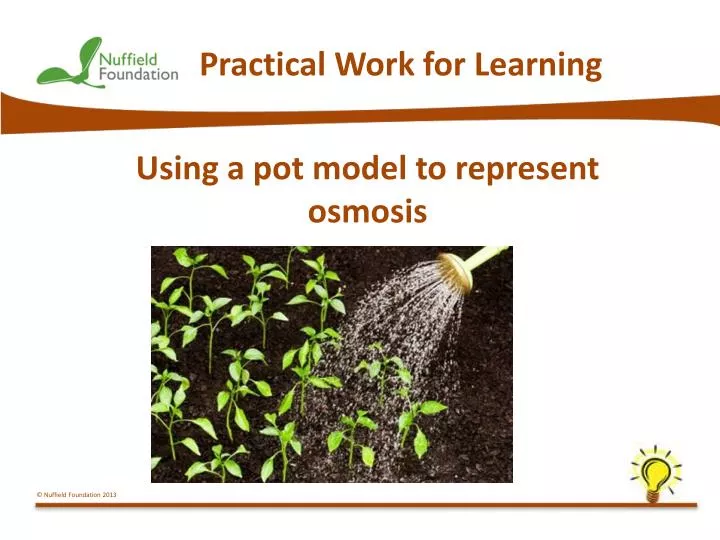 practical work for learning