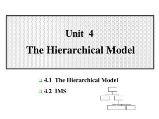 Unit 4 The Hierarchical Model