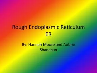 rough endoplasmic reticulum er