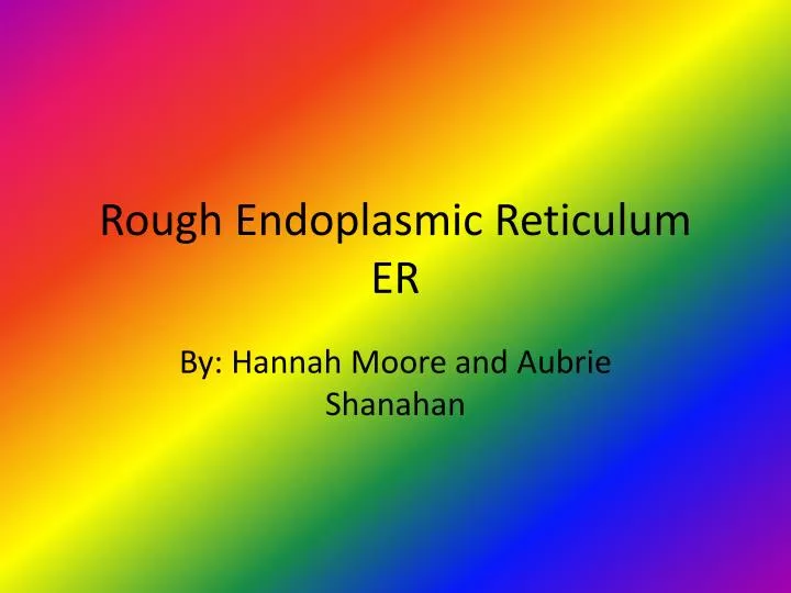 rough endoplasmic reticulum er