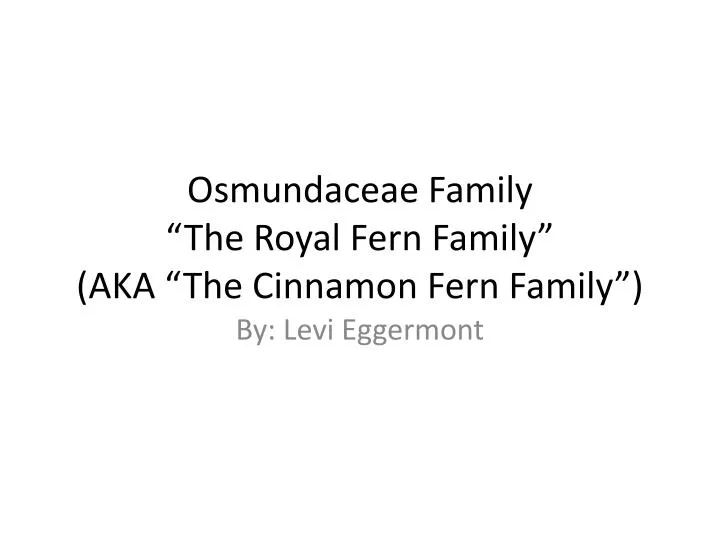 osmundaceae family the royal fern family aka the c innamon fern family