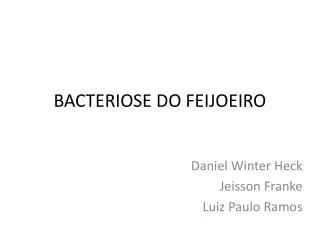 bacteriose do feijoeiro