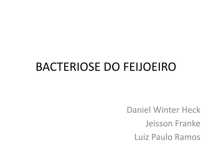 bacteriose do feijoeiro