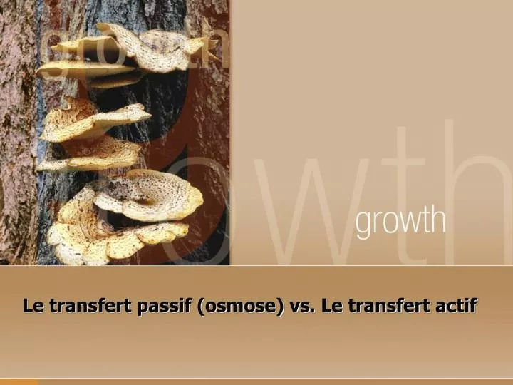 le transfert passif osmose vs le transfert actif