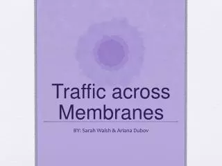 Traffic across Membranes