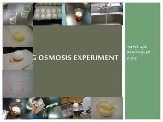 Egg Osmosis Experiment