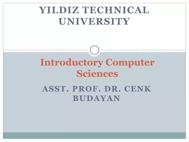 introductory computer sciences