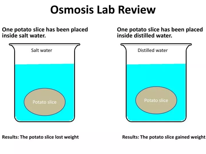 osmosis lab review