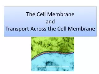 The Cell Membrane and Transport Across the Cell Membrane