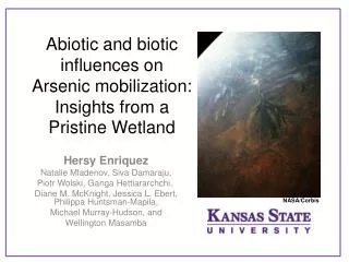 Abiotic and biotic influences on Arsenic mobilization: Insights from a Pristine Wetland