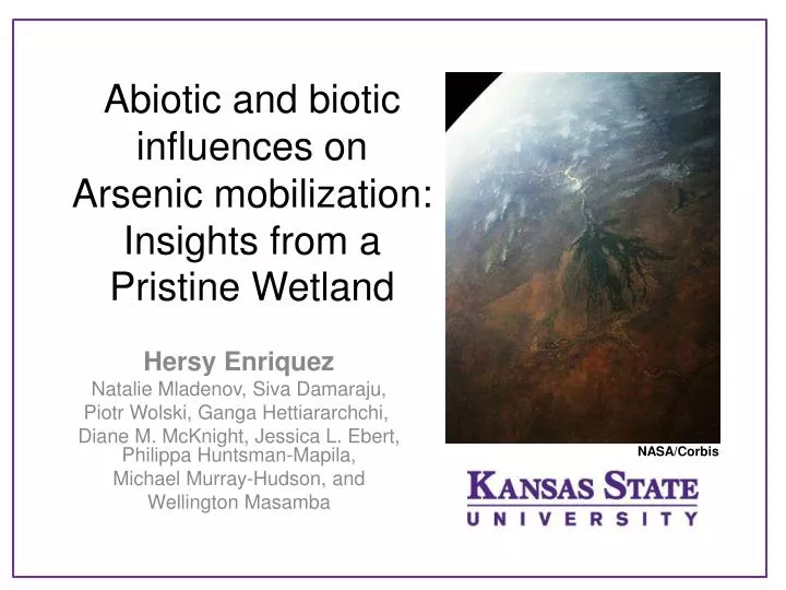 abiotic and biotic influences on arsenic mobilization insights from a pristine wetland