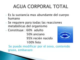 agua corporal total