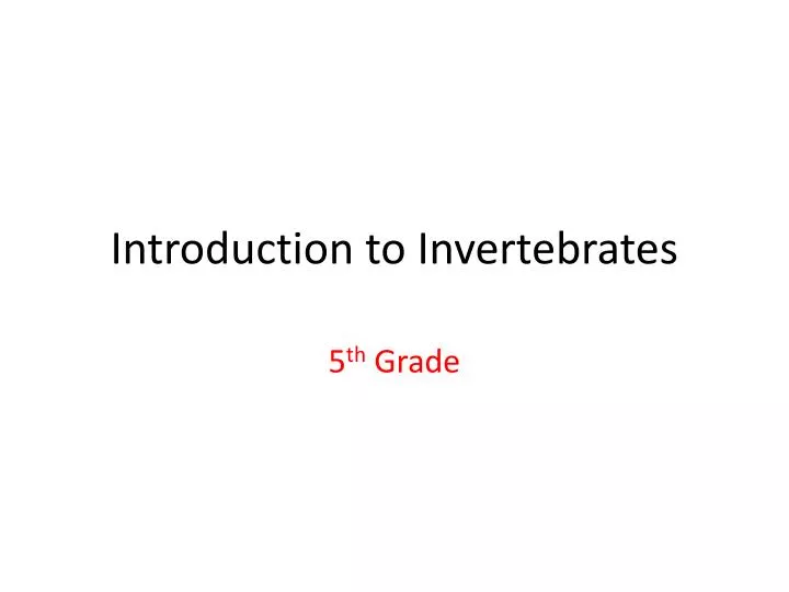 introduction to invertebrates