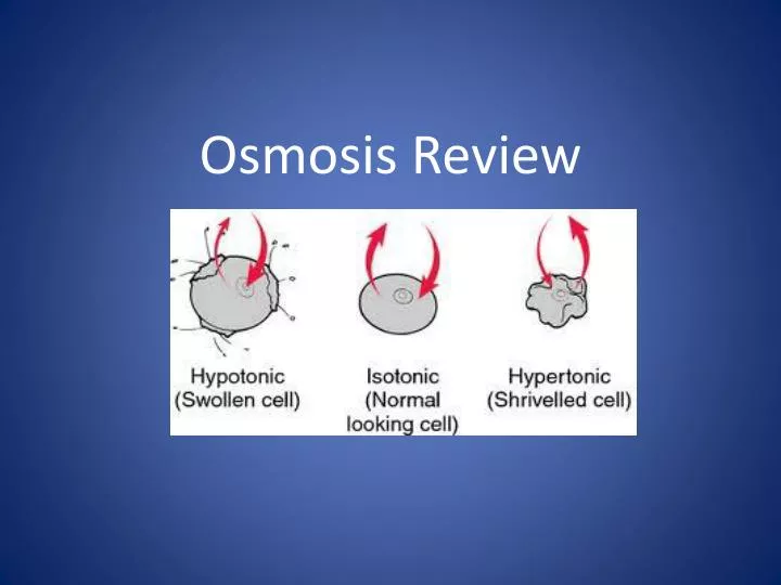 osmosis review