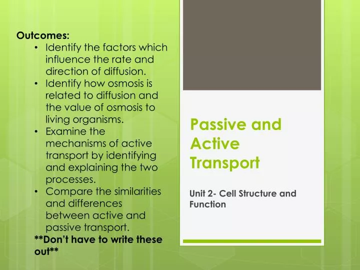 passive and active transport