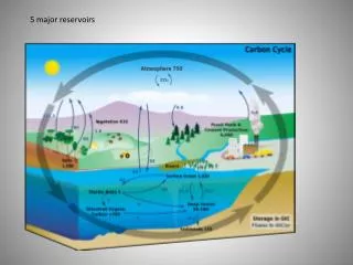 5 major reservoirs