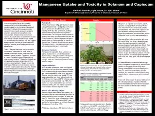 Manganese Uptake and Toxicity in Solanum and Capiscum