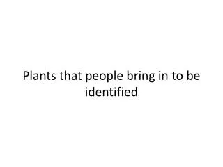 Plants that people bring in to be identified