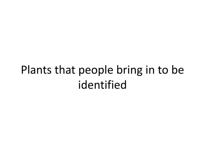 plants that people bring in to be identified