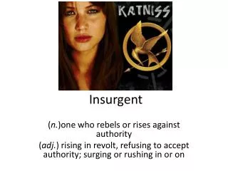 insurgent