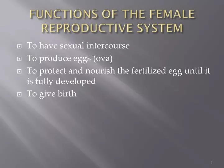 functions of the female reproductive system