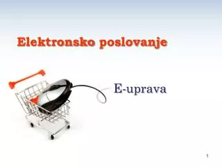 E- uprava