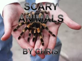 SCARY ANIMALS