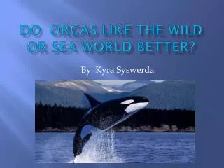 Do Orcas Like The Wild Or Sea world Better?
