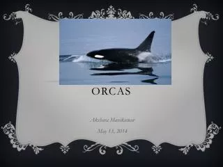 O rcas