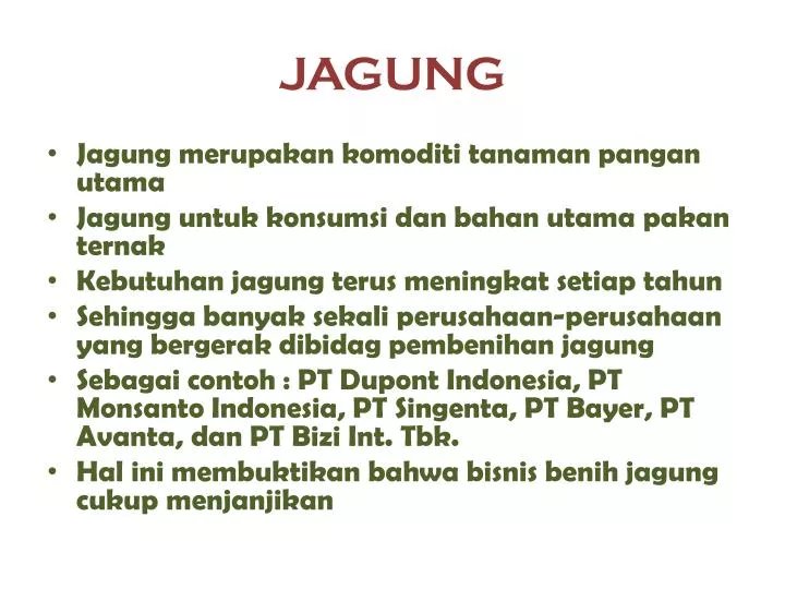 jagung