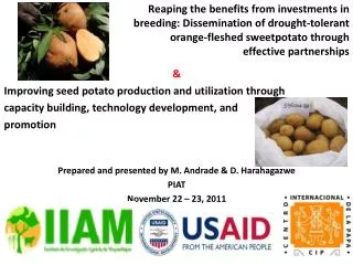 &amp; Improving seed potato production and utilization through