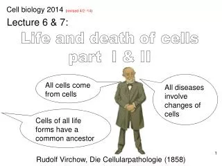 Life and death of cells part I &amp; II