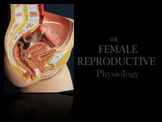 The FEMALE REPRODUCTIVE Physiology