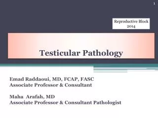 Testicular Pathology