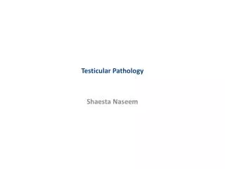Testicular Pathology
