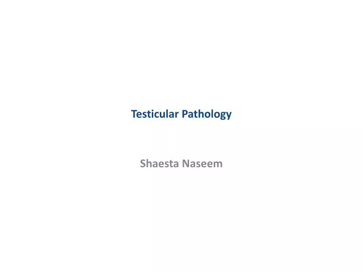 testicular pathology